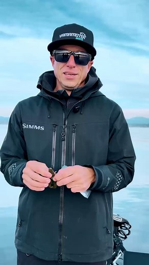 The ultimate creature bait, the Yama Bug #yamamotobaits Flip it, pitch it, or run it as a jig trailer - it flat-out gets crushed. 🎣🔥 6 per pack • 10 colors Available now ➡️ https://www.yamamotobaits.com/products/yama-bug/ #whatyoufishmatters #yamabug | Yamamoto Baits