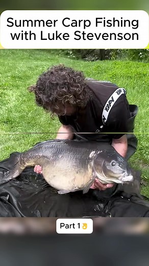 #kordatvcarpfish