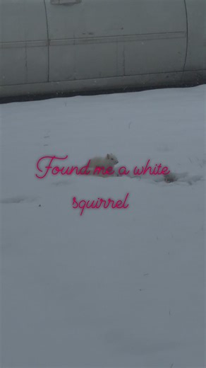 20 reactions · 8 comments | Rebecca Rodriguez on Reels | Facebook