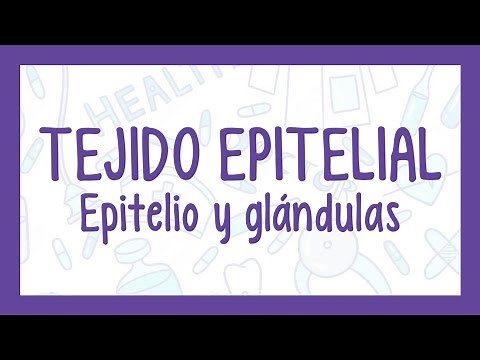 EPITHELIAL TISSUE | Easy explanation! (Histology)