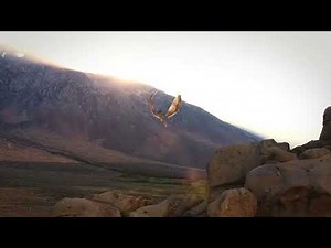 “Epic Dragon Flight in 3D! 🐉 | Animation by Faisal Ahmed Khan”