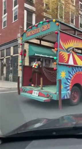 funny circus monkey transportation in truck #animalworld#animall #automobile#animals#monkey #funny