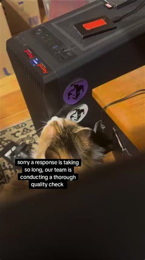 Don’t worry, the car’s fine (and safely separated from the stickers) #thethaumaturge #gamingontiktok #gaming #rpg