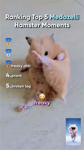 Top 5 Funniest Hamster Movements You'll Watch Today 🔥#Hamster #FunnyHamster #CuteHamster