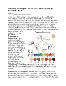 Polygenic Inheritance & STEM - No Prep - Worksheet - 100% Editable