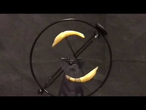 Baby Einstein music video 41