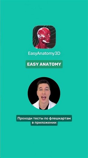 Skull Anatomy ⚡️☠️ Flashcard Test with Easy Anatomy