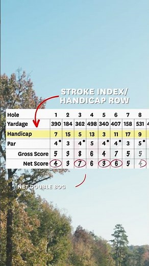 The stroke index row and how to use it when you're playing #golf