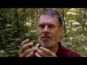 NOVA scienceNOW Emergence