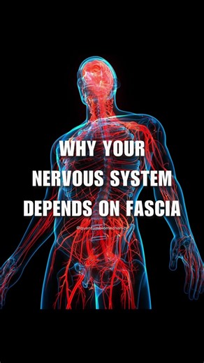 CRPS isn’t just nerve pain —it also affects the fascia, the connective tissue that surrounds your muscles and nerves. When fascia gets tight or stuck, pain and sensitivity can increase. Fascia therapy focuses on gentle movement and release, helping improve circulation, mobility, and body awareness. Small, slow work can make a big difference. Fascia therapy has helped me immensely in my recovery. My friend Anthony, @The Fascianator is an expert about fascia and the body. Check him out to learn mo