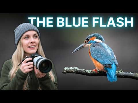 Got the shot, KINGFISHER!