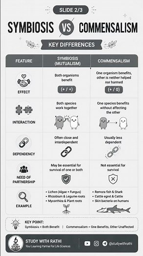 🌿 Symbiosis vs Commensalism: Understanding Ecological Relationships