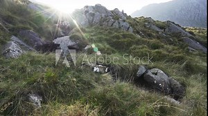 Beautiful mountain stream background shot with bright sunshine and long green grass