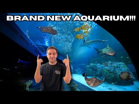 VISITING THE NEWEST AQUARIUM IN AMERICA! (FIRST YOUTUBE TOUR!)