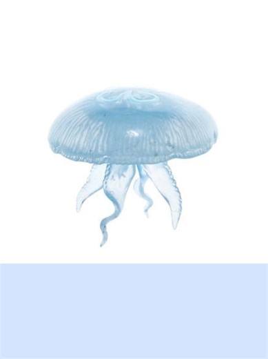 Creating an Engaging Character Layout in XYZBCA