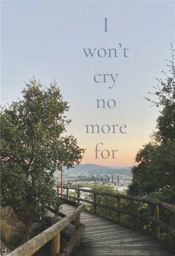 No More Tears for You