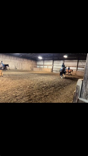 Brittany Aswegan Bar (@bb10232)’s videos with I don't fit in your little box - Hank Devlin