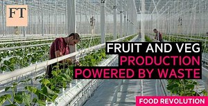Innovative greenhouse designs are using waste heat from sewage treatment plants to grow fruit and veg. But can they make enough profit to cover huge costs? Take a look at our FT Food Revolution series here: https://channels.ft.com/en/foodrevolution/the-greenhouses-powered-by-sewage/ | Financial Times