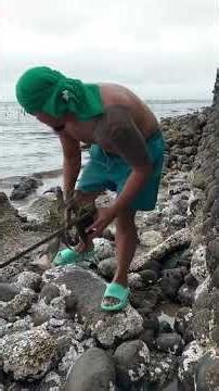 Three immediately after going down to the sea DONG ALLAN TV #shortselling #humor #comedy #comedia