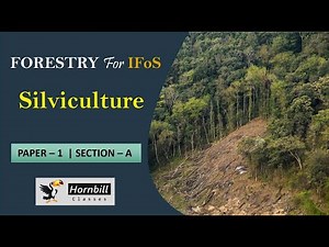 IFoS 2024 | Silviculture (2.1) - Forest, Forestry