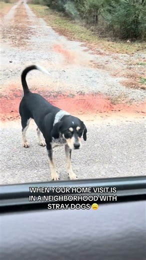 Field Case Manager Life. #iykyk #casemanagement #sendhelp