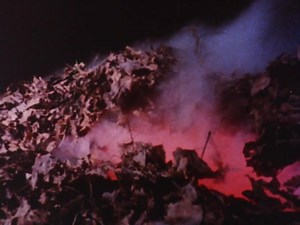 67K views · 1.8K reactions | The Evil Dead - Trailer (1981) | Horror Ads | Facebook