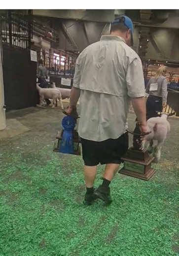 Achieving Goals Through Hard Work and Dedication