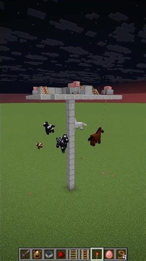 working carousel in minecraft