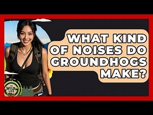 What Kind Of Noises Do Groundhogs Make? - The Wild Life Explorer