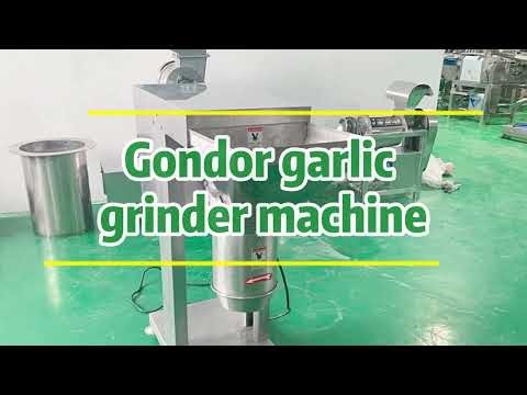 🔶 How Gondor Automatic Ginger Garlic Paste Making Machine Transforms Food Production ?🚀