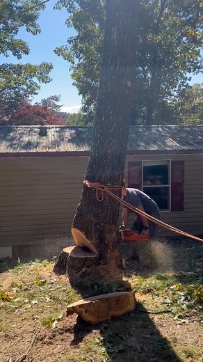 27 reactions | Chastain Tree Service on Reels | Facebook