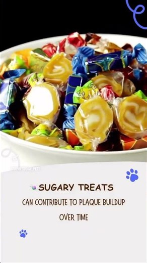 3 Foods That Can Affect Your Dog’s Teeth & Gums 🐶⚠️