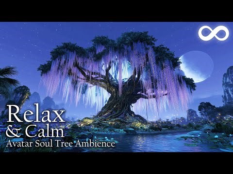 Tree of soul Avatar Pandora World | Relaxing Music & Ambience ( Bioluminescence , Forest Sound)