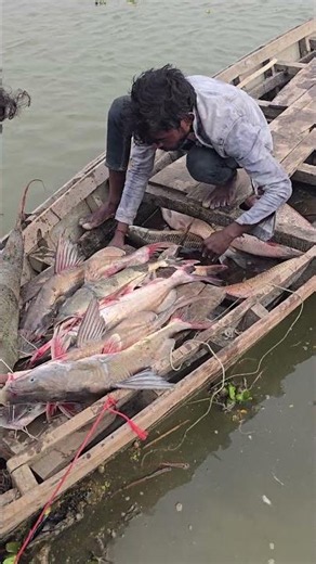 Wow Amezing Fishing With River Net fishing monster Fish catching #fishhunting2 #fishing