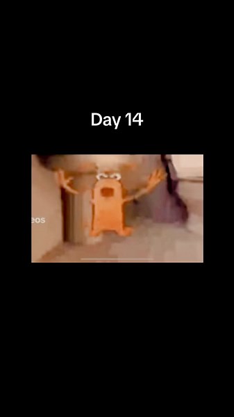 Day 14! Make sure to follow for more daily memes!#fyp #meme #memes #funny #funnyvideos #funnyvideos #funnymemes #2024 #viral #2024memes #dailymemes