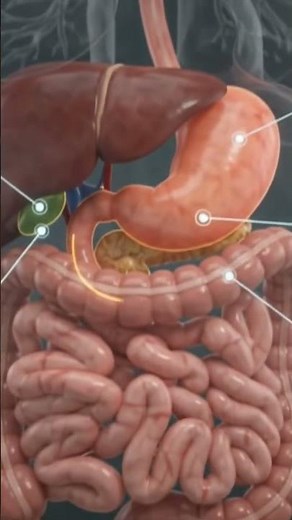 Digestive system disease