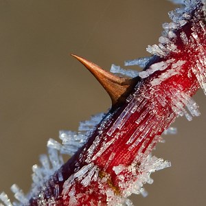 How to Work With Irritating People - Mindtools