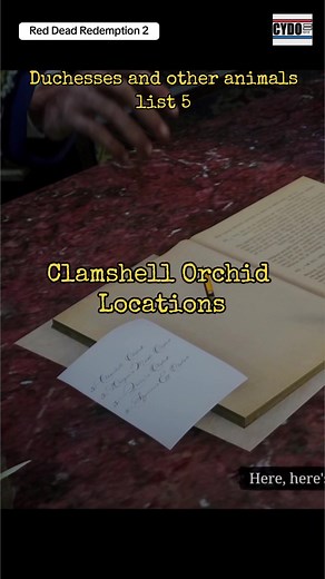 Clamshell Orchid Locations Guide for Red Dead Redemption 2