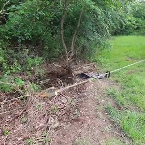 Pulling Out STUMPS With a Brush Grubber #stumpremoval #minireview #brushgrubber | Rockhill Farm - Tractors, Firewood, and Excavating