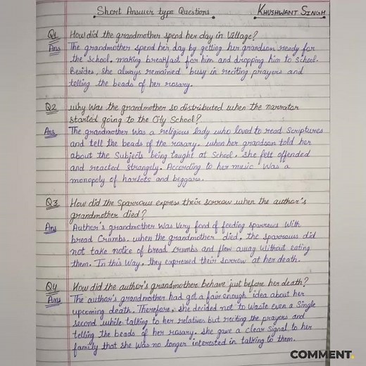 Class 11 English hornbill chapter 1 The portrait of a lady question answer #CLASS11 #STUDY #YTSHORTS