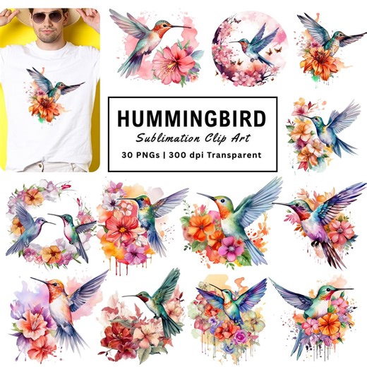 Watercolor Hummingbird Clipart: Printable Floral Bird Illustrations, Colorful High Resolution PNG Graphics - Etsy