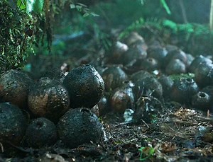 7.5M views · 73K reactions | Best New Film Netflix 2023 #movie #clip #viral #monster #love #netflix #hollywood #marvelcomics #marvel #marvelmovies #ai #magic #ring | Hand Embroidery Learning School | Facebook