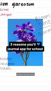 1.4K views · 4 comments | Start the new school year on the right foot ✔️ | Windows | Facebook