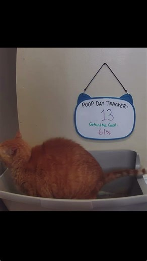 03.13.26 - A couple people have suggested/requested we get a whiteboard calendar (description)