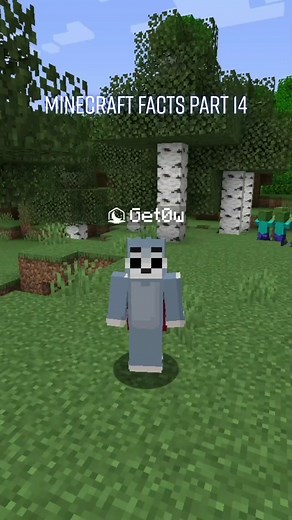 The two rarest! #minecraft #minecraftfacts #minecraftmemes #gaming #fyp #fypシ #fy #minecraftbuilding