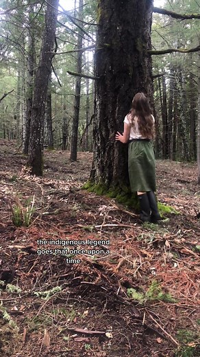 Unveiling the Legends of the Douglas Fir Tree