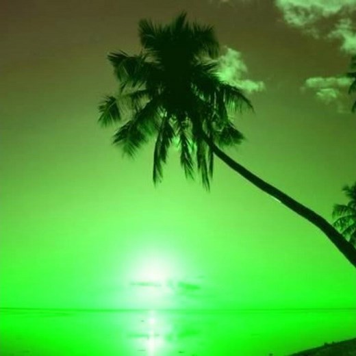 [NOT FOR SALE] SAMPLE TYPE BEAT - HUSH FT.FRANK ZAPPA - PROD.MARVILROX