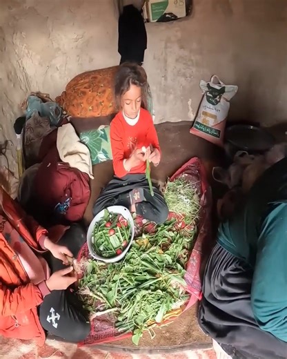 Day of Adventure | Family Vlog