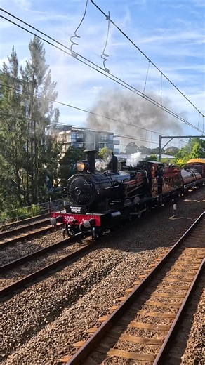 🤯 What an incredible long weekend! A record-breaking 12,800 people joined us at this year's Transport Heritage Expo for unforgettable experiences across trains, buses, and boats! 🙏 Huge thanks to our event partners — including their dedicated volunteers and staff — for making this weekend so special! 🚌 Sydney Bus Museum 🚃 Sydney Tramway Museum ⛴ Sydney Heritage Fleet 🚞 Rail Motor Society Paterson 🚈 East Coast Heritage Rail and Chumrail 🚇 Historic Electric Traction 🏨 Hydro Majestic Hotel 
