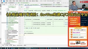 《全栈运维开发进阶：Go Vue构建CICD自动化平台》